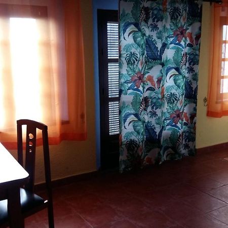 Sunshine Apartment At Tropical Coast Of Granada Almuñécar Екстериор снимка